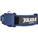 Julius-K9 Adjustable Neck Band with Handle | Color & Gray 40mm (38-53cm) | Safe Closure & Logo - Shop Now! - Buy Online on GoSupps.com
