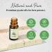 Top 6 Essential Oils Set for Aromatherapy - Eucalyptus Lavender Orange Peppermint Tea Tree (10ml) - Ideal for Diffusers Humidifiers Candle Making - Perfect Home Gift - Buy Online on GoSupps.com