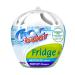 Fridge Deodoriser XL Odor remover 140g (Pack of 1)