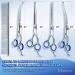 Buy Gimars 7.0 Stainless Steel Safety Scissors - 6-in-1 Professional Pet Care Scissors for Dogs & Cats - Durable Titanium-Coated with Round Tip - Buy Online on GoSupps.com