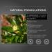 PYGEUM AFRICANUM 4000MG | 90 Servings | 20:1 Bark Extract | 200MG Capsules | Prostate Health Supplement | Lab Tested | 100% Natural - Buy Online on GoSupps.com