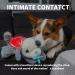 All For Paws Cuddly Toy for Dogs - Heartbeat Plush Puppy Toy for Behavioral Aid | International Shipping Available - Buy Online on GoSupps.com