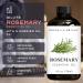 Brooklyn Botany Rosemary & Cinnamon Essential Oils 4 Fl Oz (Pack of 2) 100% Pure & Natural Warming & Herbal Aromatherapy Blend - Buy Online on GoSupps.com