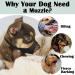 Mayerzon Soft Muzzle for Dogs | Perfect Fit for Small to Large Breeds | Ideal for Chihuahua Shih Tzu American Bulldog | Fur Care | Size M (Snout CIR: 7-8.25) - Buy Online on GoSupps.com