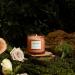 La Jolie Muse Damascen Rose Fragrance Candle - 75 Hours of Aromatic Bliss Natural Wax & Floral Aroma - Perfect Gift for Women - 285g Rose Noir & Oud - Buy Online on GoSupps.com
