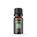 Cilantro Pure Essential Oil 10ml by Davina