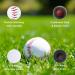 GKK Leather Baseball 12-Pack - Official League Competition Baseballs for Youth/Adult Practice and Training (One Dozen) - Buy Online on GoSupps.com