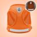 Meioro Adjustable Dog Harness with Leash - Reflective Soft Padded Vest for Small & Medium Pets - Black & Orange (S: 30-34cm) - Buy Online on GoSupps.com