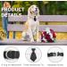 Buy Hacraho Dog Tie - Adjustable Smoking Neck Band Collar with Quick Lock Buckle (L) | International Shipping Available - Buy Online on GoSupps.com
