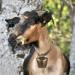 HEALLILY 2Pcs Cow Horse Sheep Grazing Copper Bells Cattle Farm Animal Copper Loud Bronze Bells Animal Anti-Lost Accessories Bell Cattle Farm Animal Loud Bronze Bell L 6.3*4.8*3cm - Buy Online on GoSupps.com