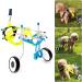 Dog Wheelchair Lightweight Dog Wheelchair for Back Legs Adjustable Pet Wheelchair Rehabilitation Walk Tool Pet Wheelchair Portable Large - Buy Online on GoSupps.com