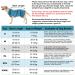 Rongyicare Rapidly Drying Dog Bathrobe - Premium Suctionable Adjustable Blue Robe for Small Dogs (S - 30-40cm 7-9kg) - Buy Online on GoSupps.com