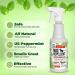 Mighty Mint 16oz Peppermint Oil Mice Repellent Spray - Natural Rodent Deterrent - Buy Online on GoSupps.com
