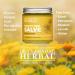 Touchy Skin Salve 1 oz - Natural Eczema Treatment Ointment - Healing Balm for Dry Hands, Feet, Elbows - Calendula & Plantain Salve - Atopic Dermatitis Relief - 2 Pack Travel Size - Buy Online on GoSupps.com