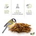 UGF Soldier Fly Larvae (500g) - Superior to Dried Mealworms - 85x Calcium - Ideal Treats for Birds Turtles Rodents & More - Buy Online on GoSupps.com