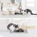Coomazy Silicone Cat Food Mat | Non Slip Pet Feeding Mat for Dogs & Cats | Grey - Buy Online on GoSupps.com