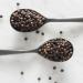 Club House Quality Natural Herbs & Spices Organic Ground Black Pepper 28g - Buy Online on GoSupps.com