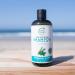 Petal Fresh Pure Rosemary & Mint Shampoo 355ml - Natural Hair Care for All Hair Types | Buy Online Worldwide - Buy Online on GoSupps.com