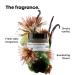 L Or al Professionnel Absolut Repair Molecular Hair Mask - Repair & Restore Extremely Dry Damaged Hair | Extra Hydration & Detangling Peptides Bonder - Buy Online on GoSupps.com