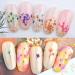 Kingmas 12 Colors Dried Flowers Nail Art Supplies - Mini Real Natural 3D Applique Decoration Sticker - Buy Online on GoSupps.com