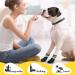 Waterproof Anti-Slip Dog Shoes - Hjumarayan 4 Pack for Indoor & Outdoor Use Black (Size 5) - Perfect Paw Protection for Dogs & Puppies - Buy Online on GoSupps.com