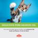 Pure Scottish Salmon Oil for Cats - 500ml | 100% Pure Natural Omega 3 6 & 9 Fish Oil for Cats | Salmon Oil Cats - Cat Supplement - Omega 3 for Cats - Cat Fish Oil - Cat Salmon Oil | Kitty Ketchup - Buy Online on GoSupps.com