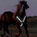 WUUISDNX Adjustable LED Horse Breastplate Collar Highly Visible Outdoor Harness White - Buy Online on GoSupps.com