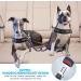 Buy Slowton 2-in-1 Dog Car Seat Belt | Durable Adjustable & Reflective - Ideal for Medium Dogs | International Shipping - Buy Online on GoSupps.com
