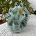 Room Decoration 700-800g Natural Crystal Cluster. Heals Quartz Clusters Suitable for Home - Buy Online on GoSupps.com