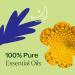 Buy Plant Therapy Relaxation Synergy Set | 100% Pure Therapeutic Essential Oils for Stress Relief - International Shipping Available - Buy Online on GoSupps.com