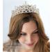 LIHELEI Crystal Crown Tiara - Vintage Silver Queen Crown for Wedding, Princess Tiara for Girls - Ideal for Halloween Costume and Birthday Party - Buy Online on GoSupps.com
