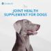 Duralactin Canine Soft Chews Joint Health Supplement for Dogs, Reduces Inflammation, Chicken-Liver Flavored, 60-Count Bottle - Buy Online on GoSupps.com