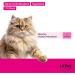 Itiko Digestive Snacks for Cats - Probiotic Treats - Promotes Digestion - Alternative to Clay - Psyllium for Diarrhea - Food Supplement for Cats - Buy Online on GoSupps.com