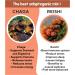 Baikal Tea Wild Chaga & Reishi Adaptogenic Mushrooms from Baikal Lake - 30 Unbleached Tea Bags - Ganoderma Lingzhi Mushroom Supplement Blend - Hand-picked - Buy Online on GoSupps.com
