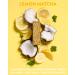 Dang Keto Bar | Lemon Matcha | 12 Pack | Keto Certified Vegan Snack | Low Carb, Low Sugar, Gluten Free, Non GMO | 5g Net Carbs, 9g Protein | Plant Based Energy Bar | Pack of 12 - Buy Online on GoSupps.com