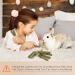 Bissap Timothy Hay Sticks for Rabbits - 38PCS Natural Chew Toys for Small Animals - Buy Online on GoSupps.com