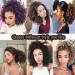 SEGO 11 Afro Crochet Braids Kinky Curly Hair Bulk Extensions in Black & Purple for Stunning Hairstyles | International Shipping Available - Buy Online on GoSupps.com