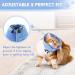 Supet Cat Cone Collar - Soft Adjustable Recovery Collar for Cats - Blue - Small (Neck 5.5-9.5) - Buy Online on GoSupps.com
