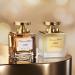 Oscar de la Renta Alibi Eau Sensuelle Eau de Parfum 1 Fl Oz (Pack of 1) - Buy Online on GoSupps.com