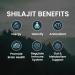 Original Himalayan Shilajit Resin 50g - 100% Pure Fulvic & Humic Acid Minerals - Immune System & Vitality Booster - Vegan - Elite Standard - Buy Online on GoSupps.com