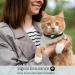 Reflective Airtag Cat Neck Band | Leather GPS Tracker with Apple Airtag Holder & Bell | Pink | Fits Young Cats 9-13 Inch (23-33cm) - Fast International Shipping - Buy Online on GoSupps.com