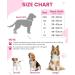 Buy PETTOM Adjustable Nylon Dog Collar - Breathable & Reflective XS Pink for Small Dogs - Buy Online on GoSupps.com
