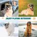 Ownpets Anti-UV Dog Glasses | Adjustable Sunglasses for Medium & Large Dogs | Windproof Design | Black Frame with Silver Lens - Buy Online on GoSupps.com