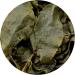 GOARTEA Taiwan Oolong Tea 250g - Premium Grade Dong Ding Tung Ting Green High Mountain Loose Leaf Tea - Buy Online on GoSupps.com