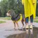 Shop Mosucoirl Waterproof Dog Coat with Hood - Reflective Windproof Rain Jacket for Small & Medium Dogs | 2XL Green - Buy Online on GoSupps.com