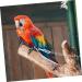 BELLIFFY 1 Set Parrot Anklet Birds Anklet Bird Harness Parrot Harness Leash Stainless Steel Bird Chain Split 24X4X0.1cm Silver - Buy Online on GoSupps.com