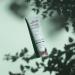 ELIFEXIR Minucell Intensive Anti-Cellulite Serum & Cream - Fight Grade II & III Cellulite Reduce Orange Peel Effect - 150ml - Buy Online on GoSupps.com