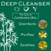 Christine Valmy Deep Cleanser Makeup Remover 4.73 oz | Daily Facial Cleansing Milk - Buy Online on GoSupps.com