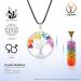 Black Tourmaline Healing Crystal Money Tree - Chakra Balancing Home Decor & Spiritual Gift | Reiki Energy Balancing Tree #4 - Buy Online on GoSupps.com