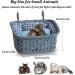 JWShang Chew Proof Rat Hammock - Large Hanging Bed for Small Animals | Rat Cage Accessories for Guinea Pig, Chinchilla, Sugar Glider, Ferret | Warm & Cozy - Buy Online on GoSupps.com